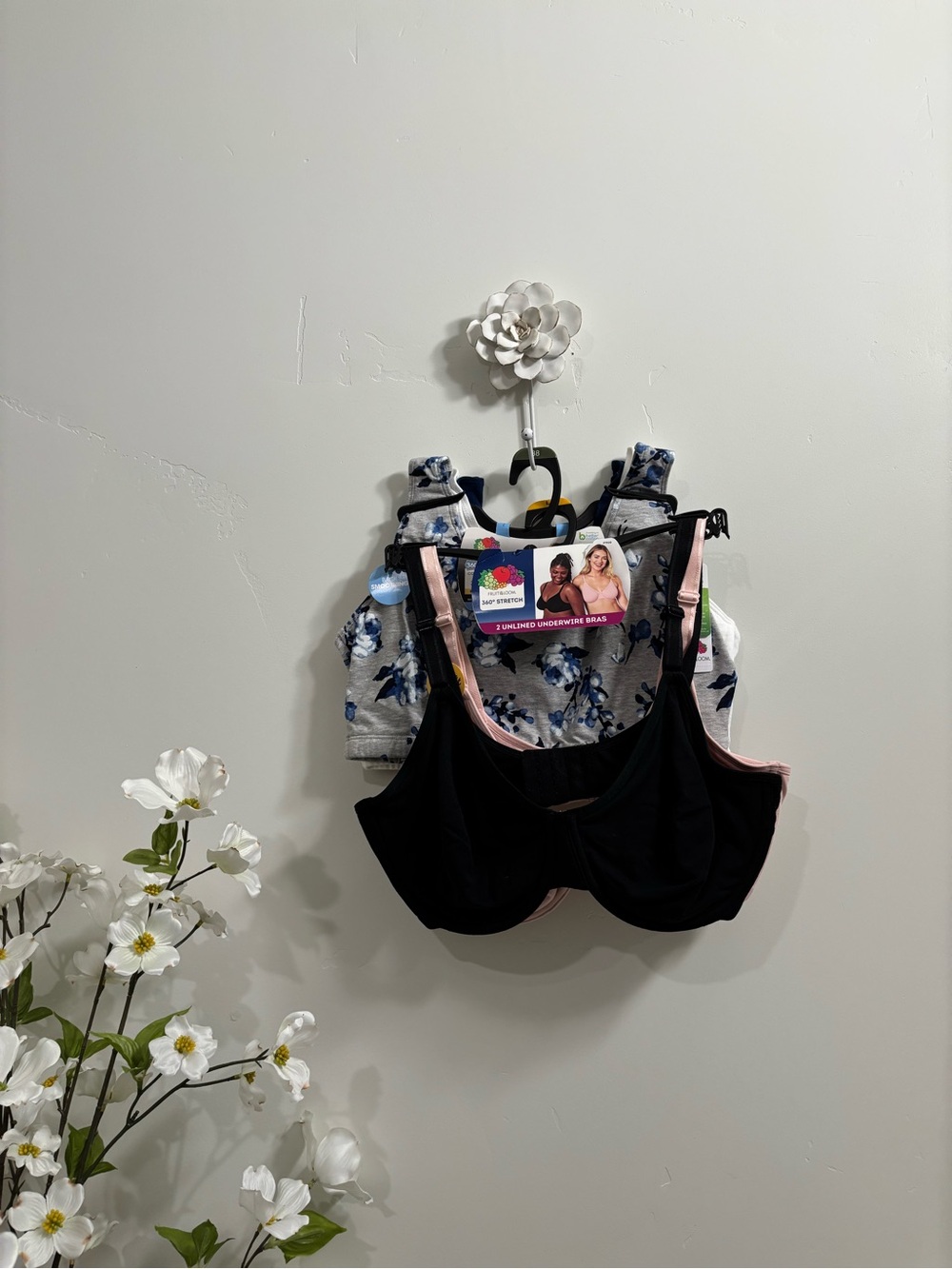 Bra Bundle (5 total)